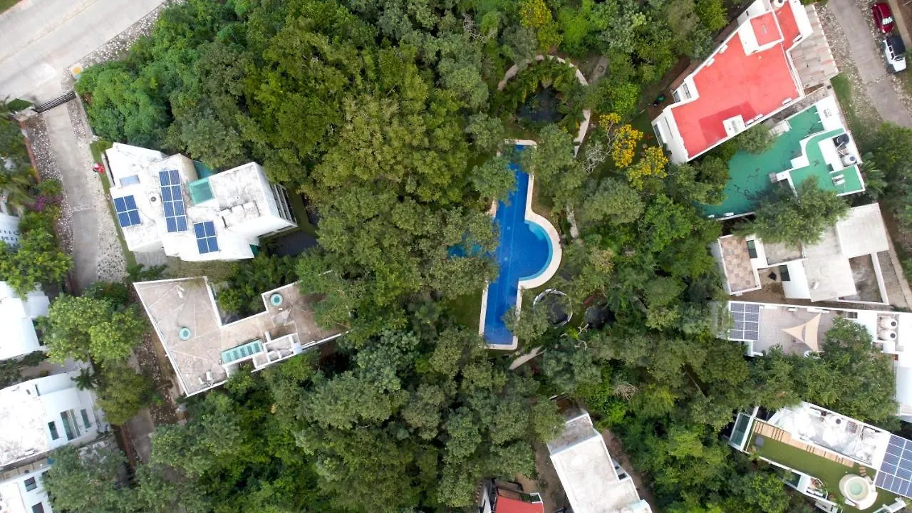 LUXURY JUNGLE HOUSE - Amazing design - 3 floors Villa Playa del Carmen Vakantiehuis